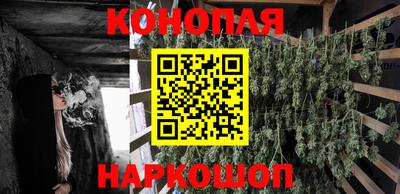 сатива Вязники