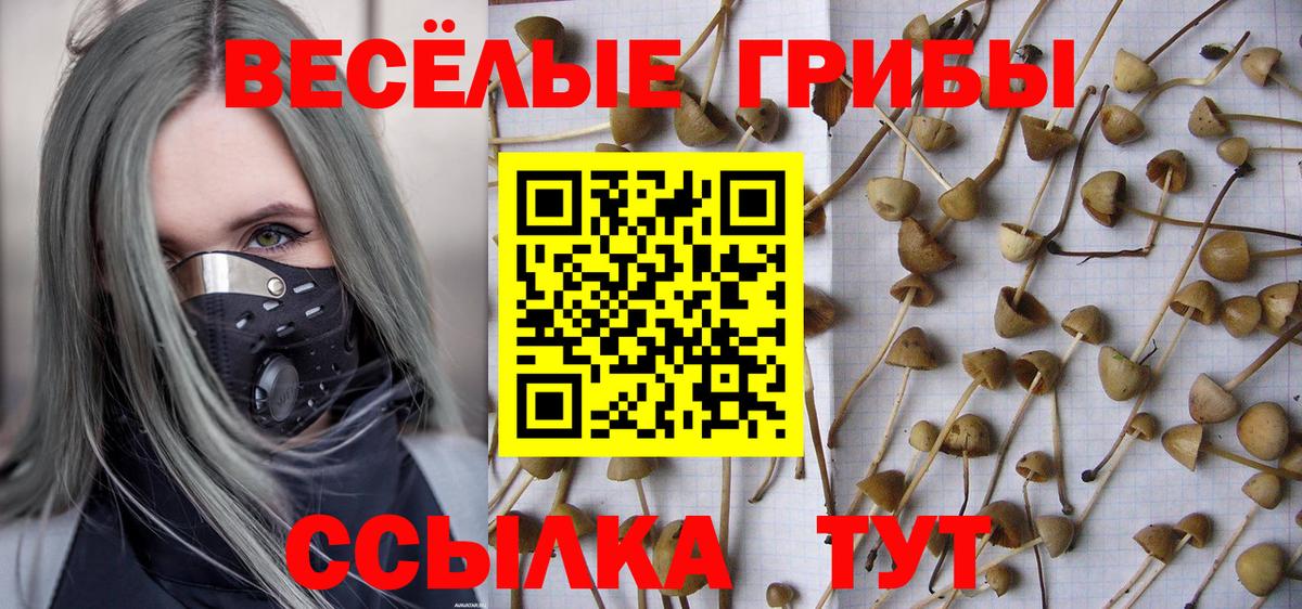 Галлюциногенные грибы Psilocybine cubensis  Вход с VPN  Бахчисарай 
