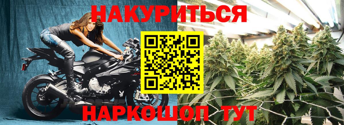 Конопля индика Бахчисарай